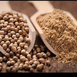 تخم گشنیز