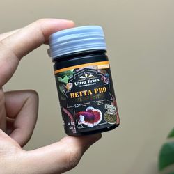 غذای بتا پرو میگوی پَتی برند آزو AZOO