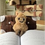 چارم آقای بادوم زمینی