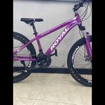 دوچرخه سایز 26 اورجینال رویال (ROYAL) رنگ بنفش