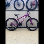 دوچرخه سایز 26 اورجینال رویال (ROYAL) رنگ بنفش