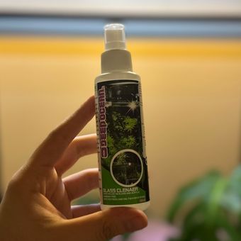 رسوب بر دیپ اوشن