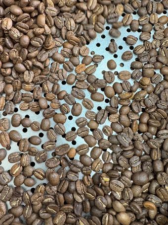 عربیکا کلمبیا