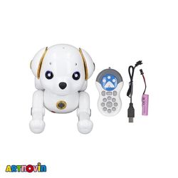 سگ کنترلی شارژی