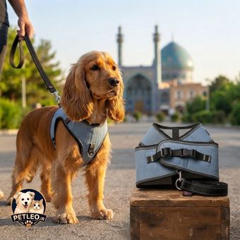 قلاده کتفی جین و لید MAGGY PET مدل صوفی (سایز L)