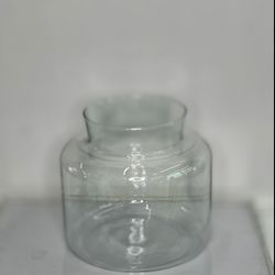 جارشیشه ای هلندی با ارتفاع 12سانت