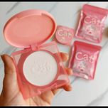پودرفیکس فشردهcat