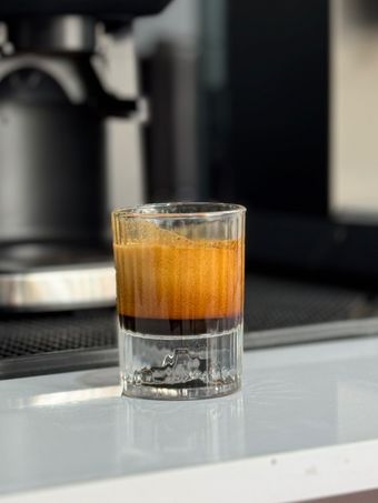 فنجون پیرکس کوهی