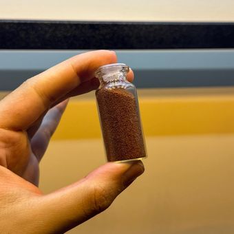 ارتمیا دکپسوله سرخ ده گرمی