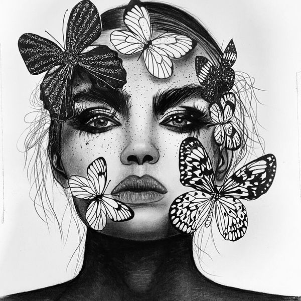 نقاشی پروانه