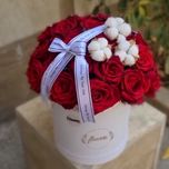 باکس رز