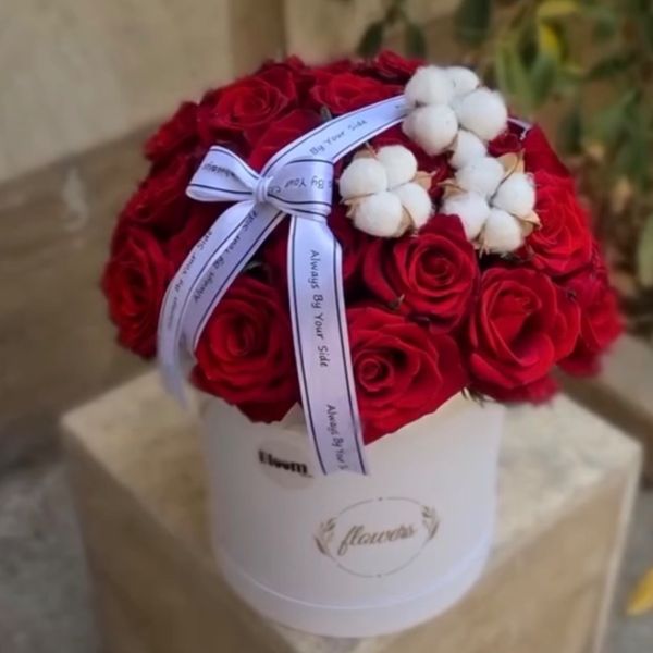 باکس رز