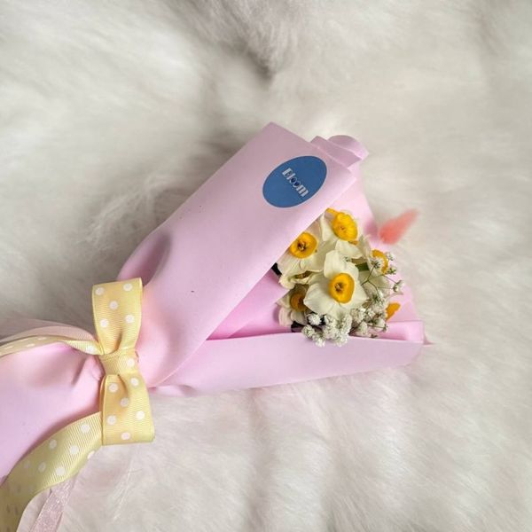 بیبی بوکت نرگس