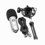 میکروفون کارن آیودیو Karen Audio M-100