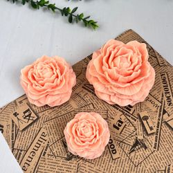 آلاله ژورنالی