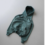 هودی سبز ابی