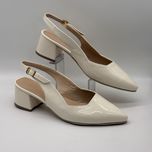 مجلسی پشت باز