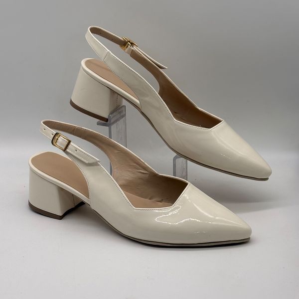 مجلسی پشت باز