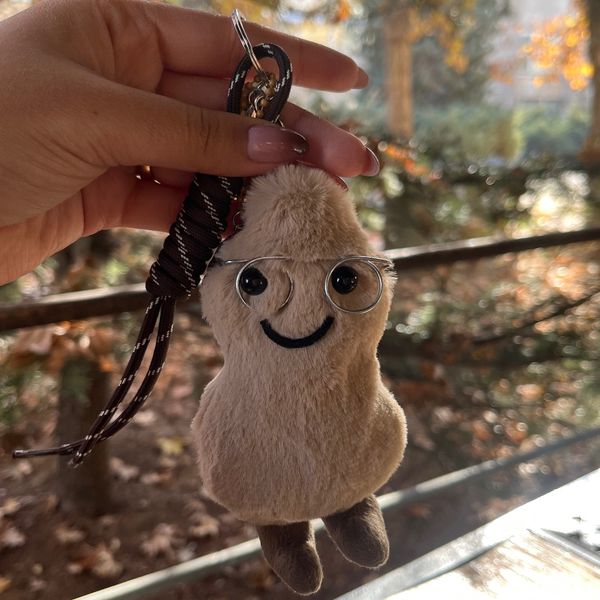 چارم آقای بادوم زمینی