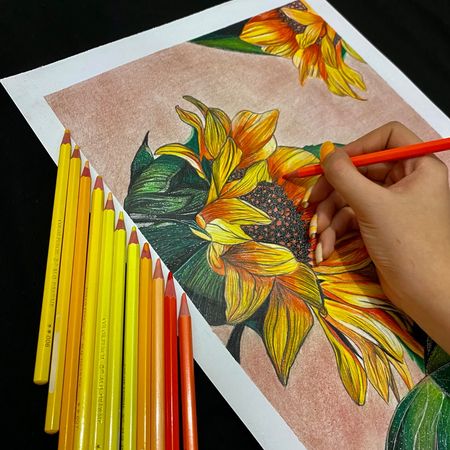 آفتابگردون