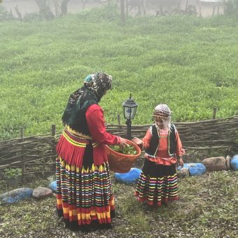 چای دست ساز سنتی از روستای بالابند 100 گرمی