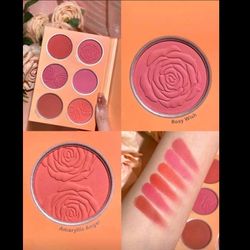 پالت رژگونه 6 رنگ شیگلم