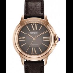 ساعت زنانه سیتیزن اکودرایو EM1163-09X