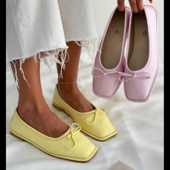 کالج لودشکا پاپیونی پاز4161