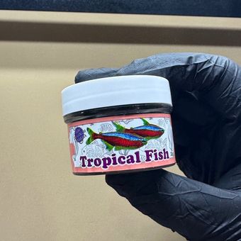 غذای ماهی‌های پلنت تاپ فود