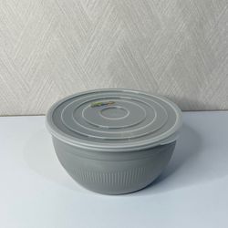 ظرف نگهدارنده