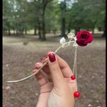 کانزاشی گل سرخ و دم وال مخمل