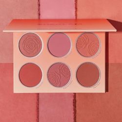 پالت رژگونه شامل 6 رنگ شیگلم sheglam floral flush
