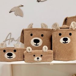 نظم دهنده خرس پوزه بیضی