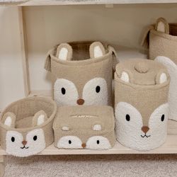 نظم دهنده سنجاب