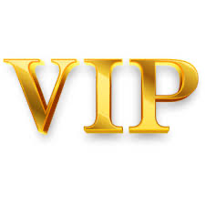 پکیج VIP همایش