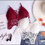 کراپ گیپور اعلا