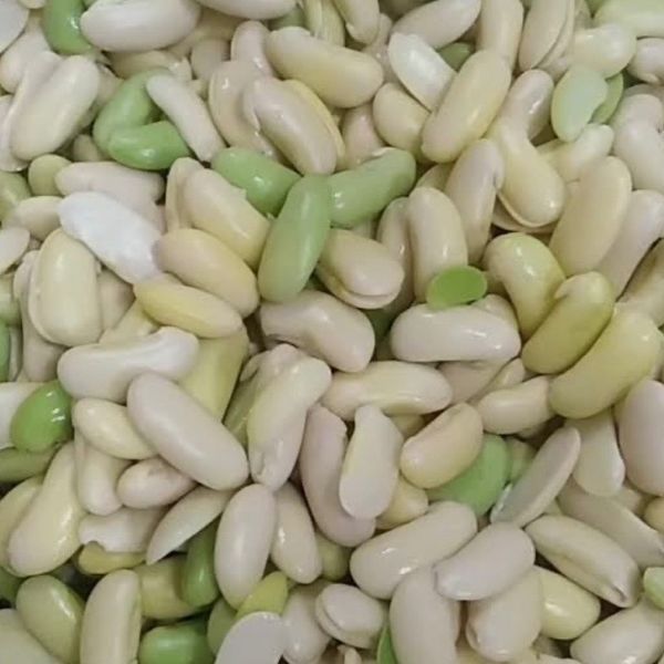 باقالی کشاورزی