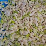 باقالی کشاورزی