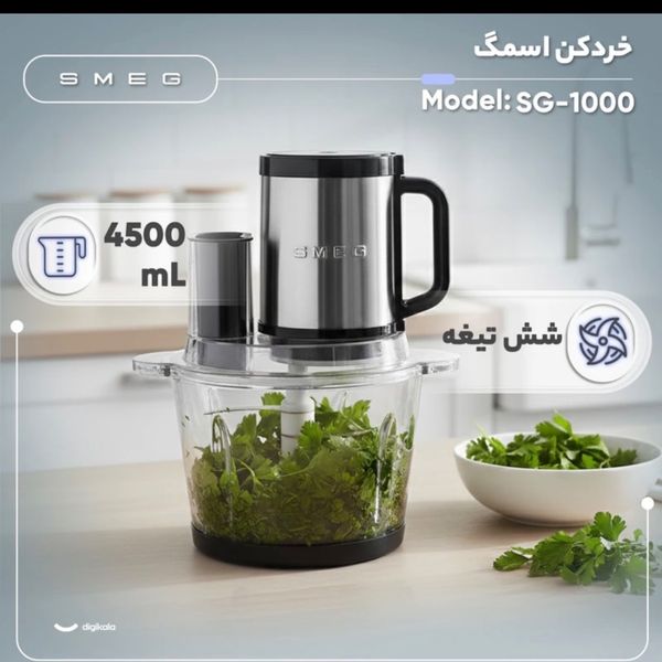 خردکن اسمگ مدل SG1000 ظرفیت 4.5 لیتر