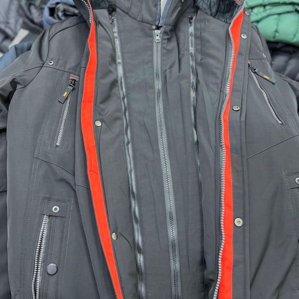 اور بوفالو روسی ضخیم برای منفی38درجه