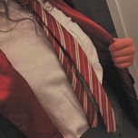 کراوات گرو‌ه‌های هاگوارتز هری پاتر