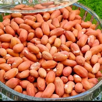 بادام تازه ممتاز آستانه اشرفیه
