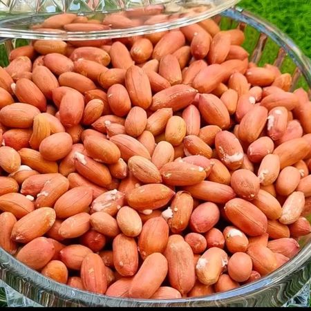 بادام تازه ممتاز آستانه اشرفیه