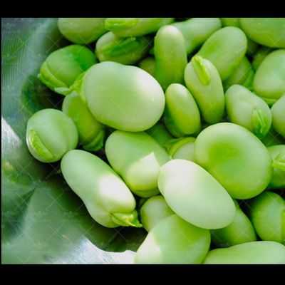 باقالی مازندرانی
