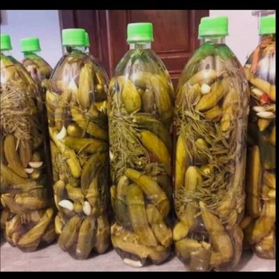 خیارشور