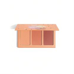 پالت رژگونه 3 رنگ بستنی شیگلم (Private Cabana (sheglam