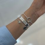 بنگل ابکاری نقره