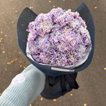 دسته گل میخک هلندی