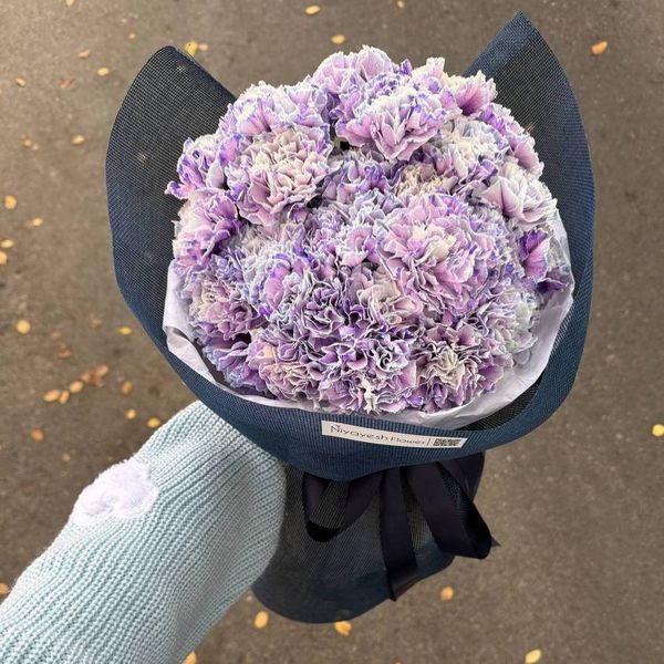 دسته گل میخک هلندی