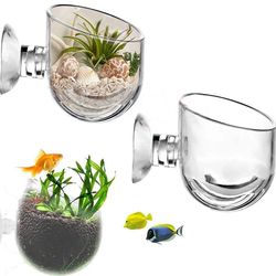 گلدان گیاه شیشه‌ای گرینر